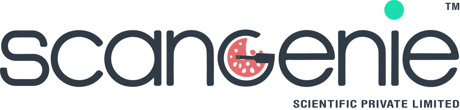 Logo2